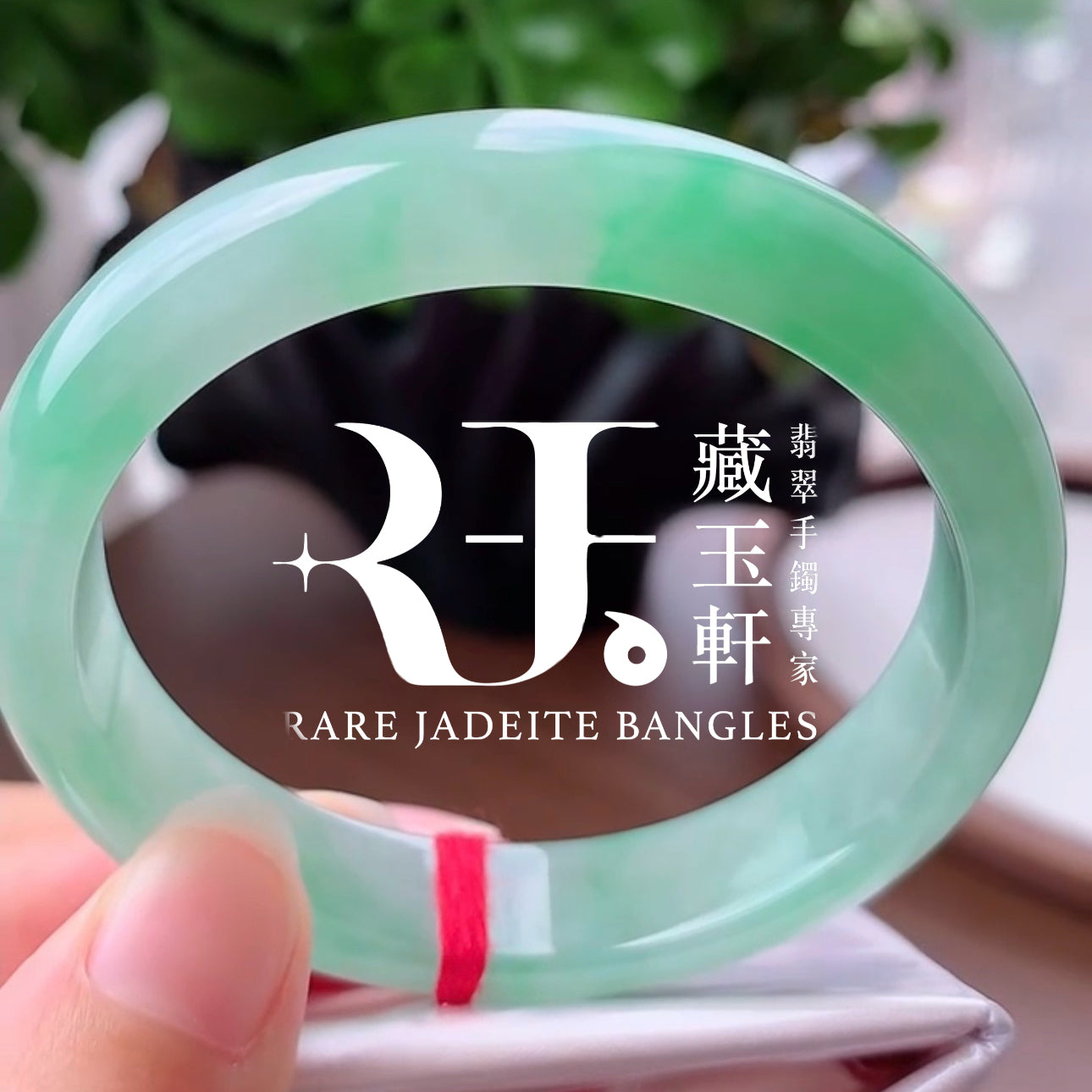 蘋綠滿盈