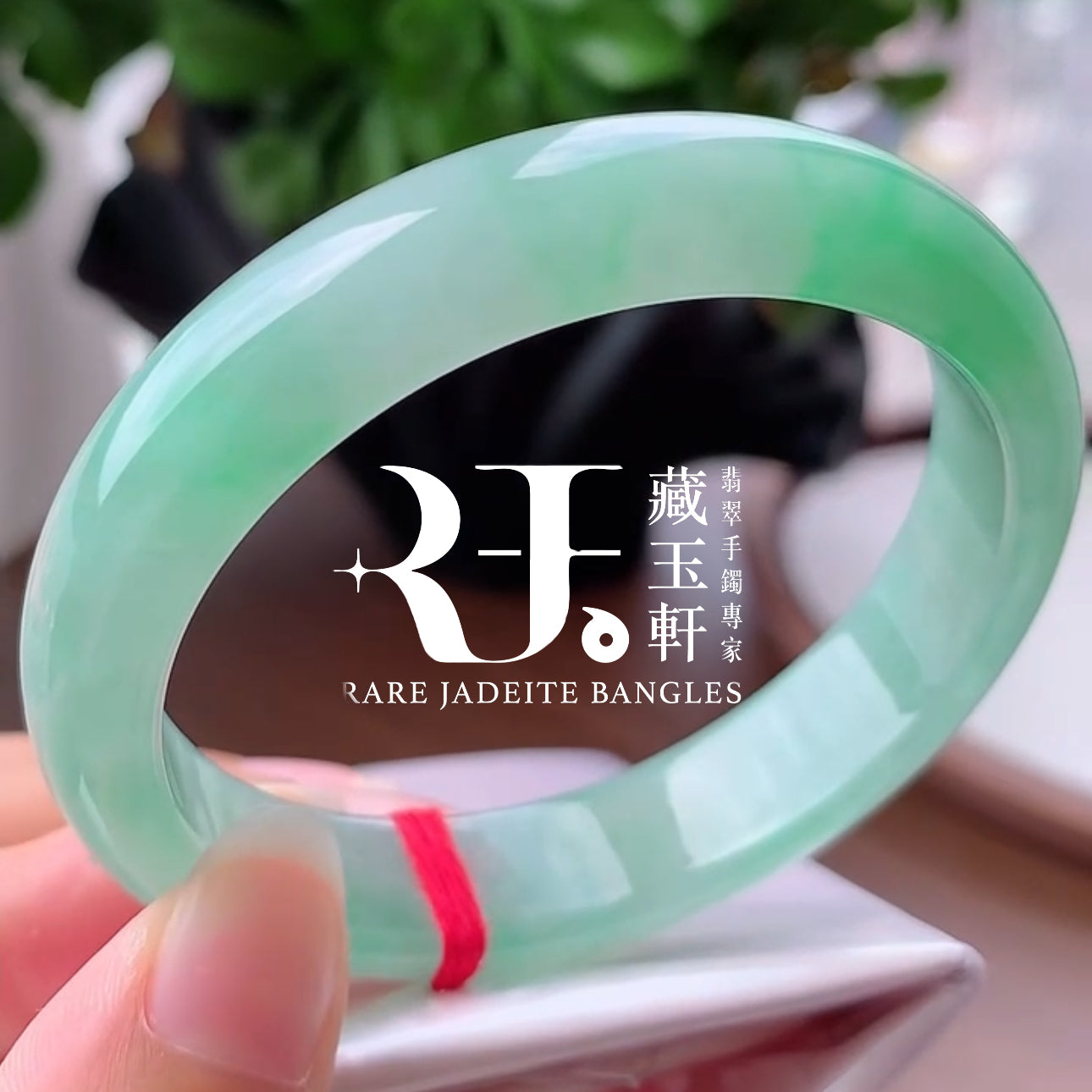 蘋綠滿盈