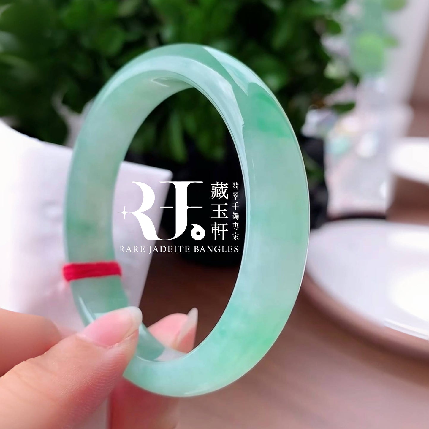 蘋綠滿盈