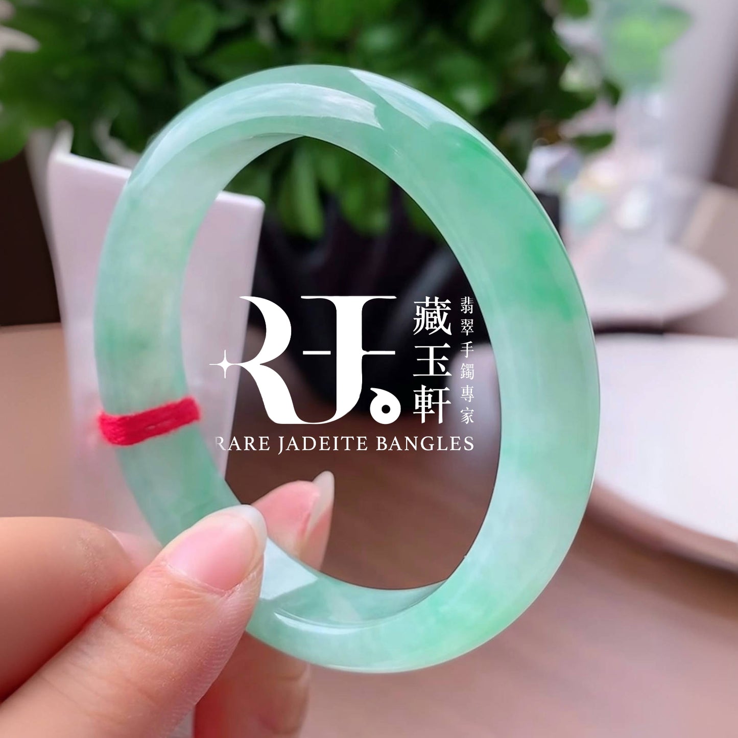 蘋綠滿盈