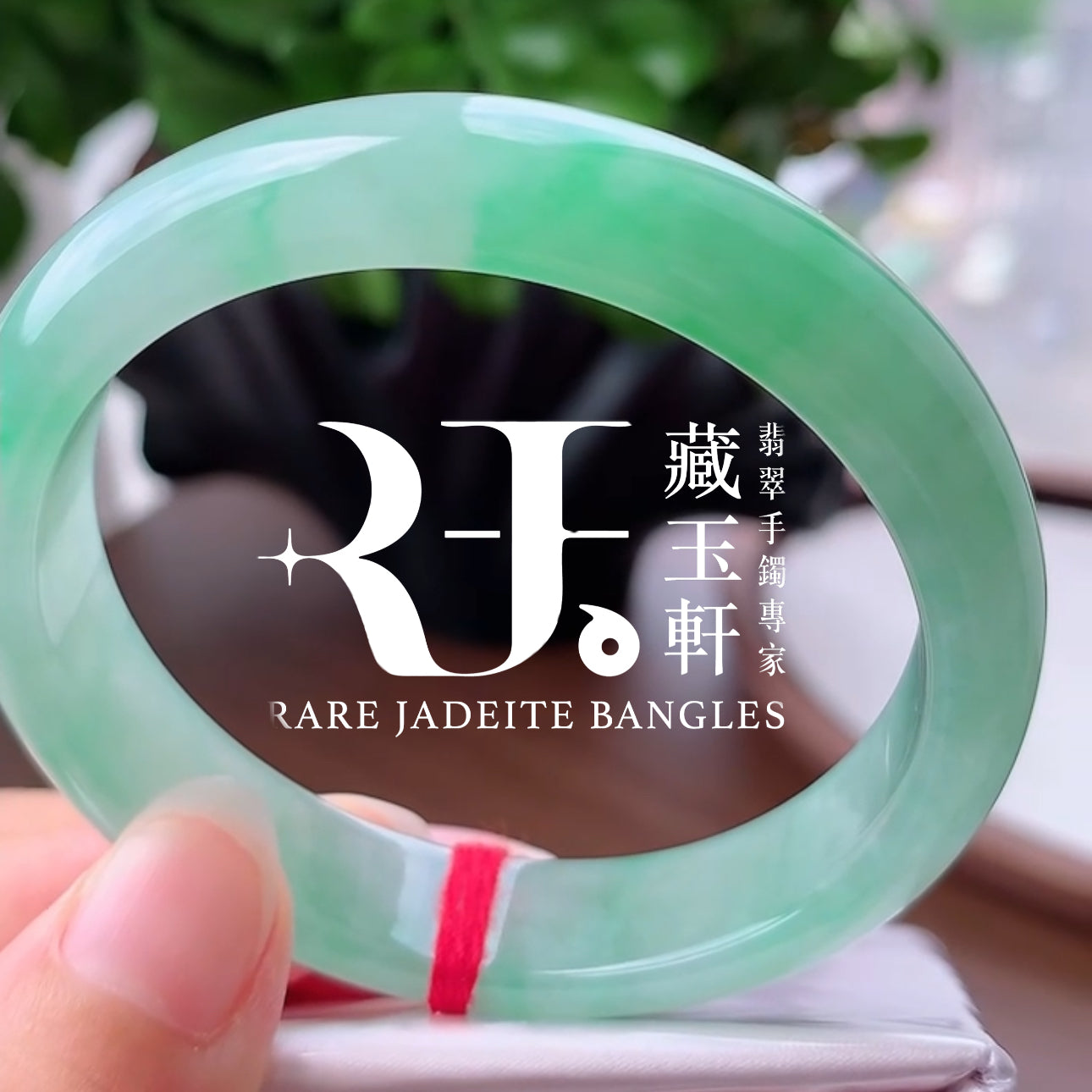 蘋綠滿盈
