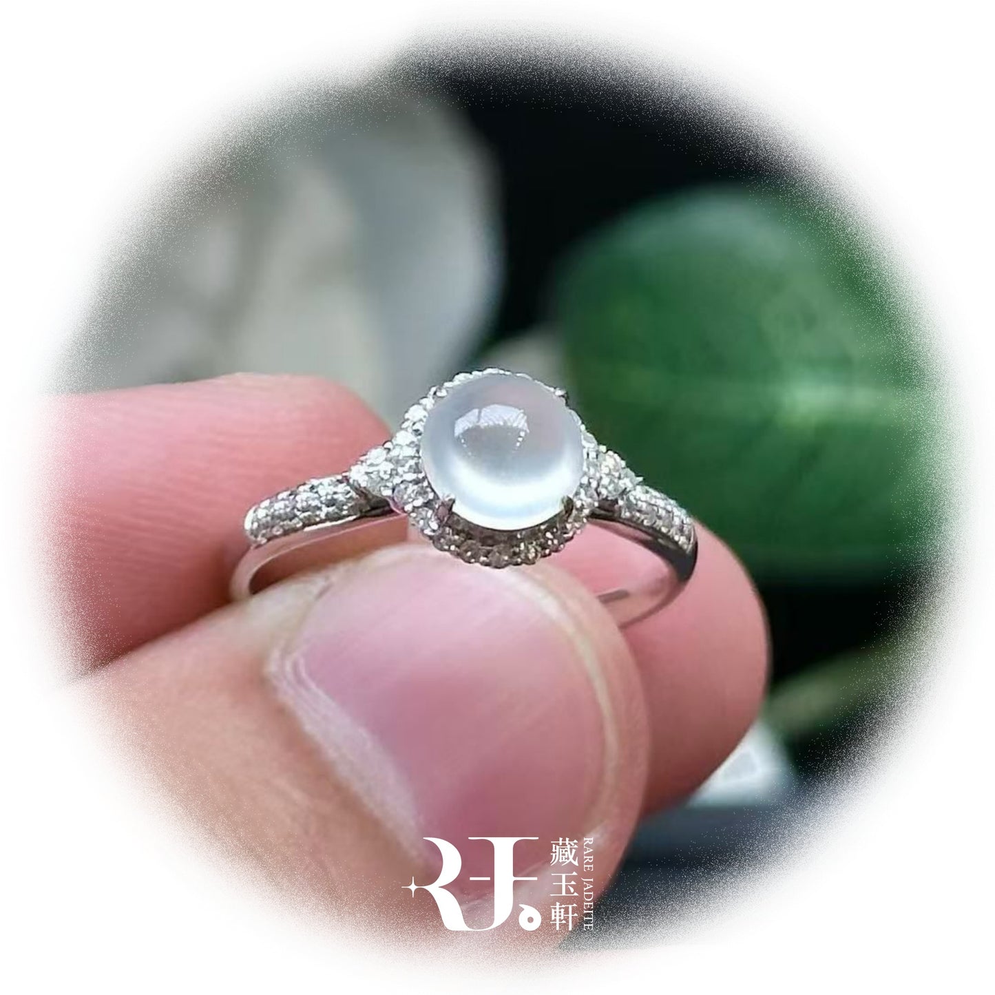 高冰茅台白蛋面戒指